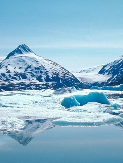 比特派钱包下载